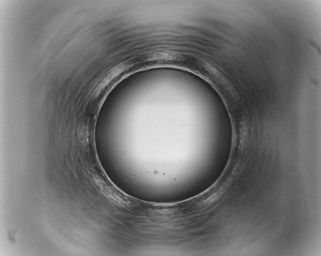X0000102511017200808151541