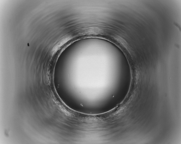 X0000102511018200808151541