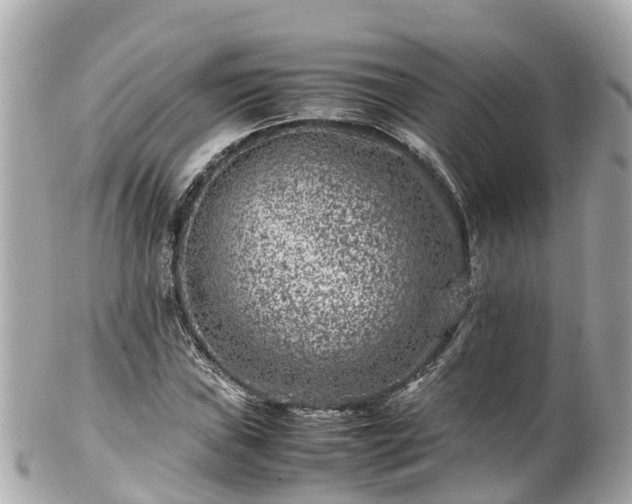 X0000102511019200808151541