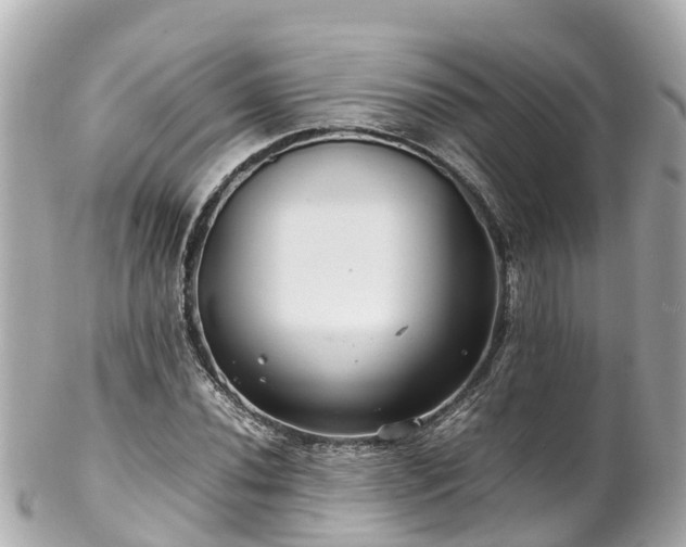 X0000102511020200808151541