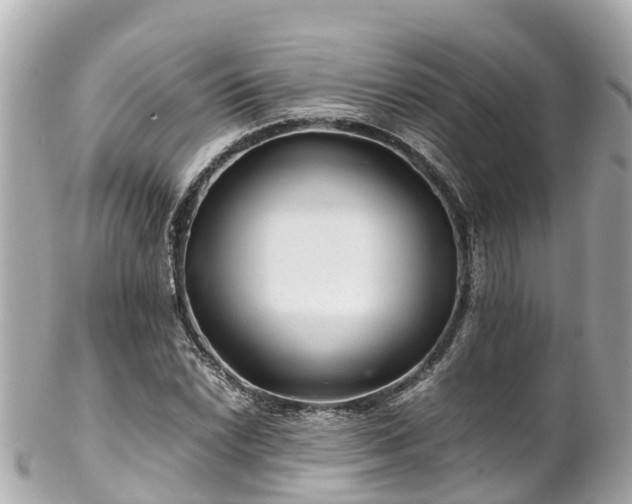 X0000102511022200808151541