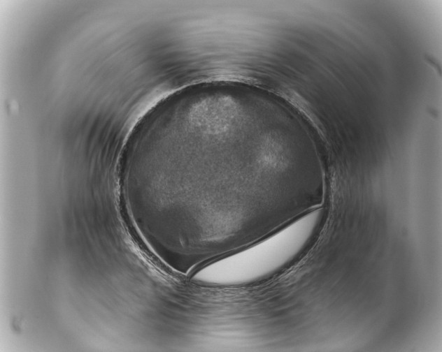 X0000102511024200808151541
