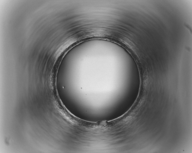 X0000102511026200808151541