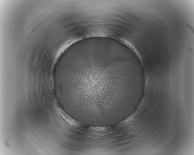 X0000102511027200808151541
