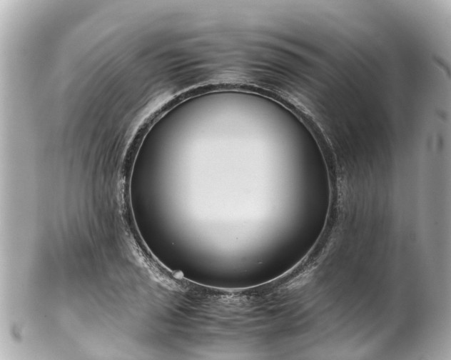 X0000102511029200808151541