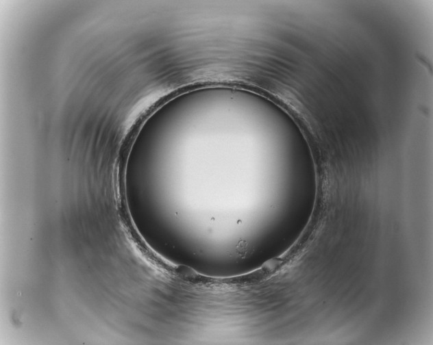 X0000102511030200808151541