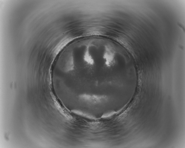 X0000102511031200808151541