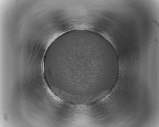 X0000102511032200808151541