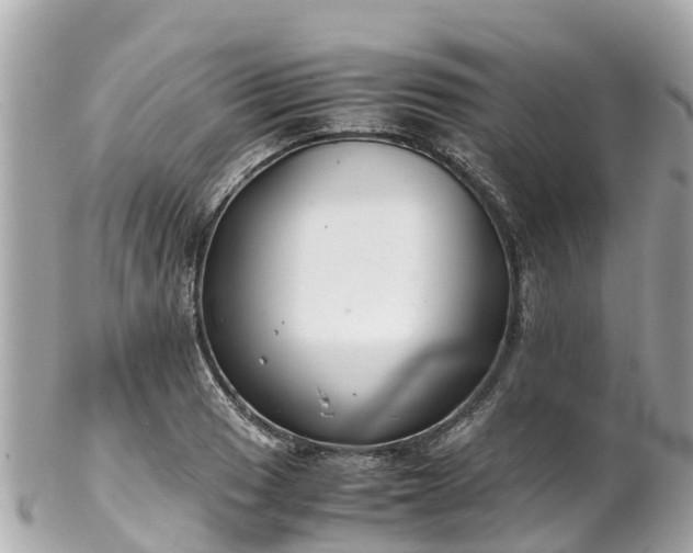 X0000102511033200808151541