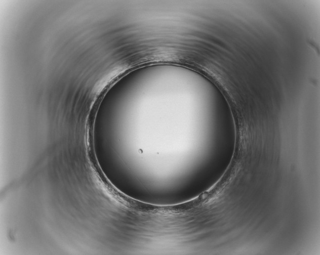 X0000102511034200808151541