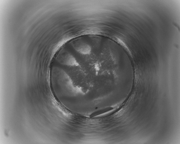 X0000102511035200808151541