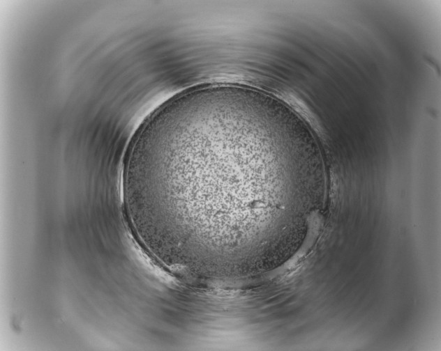 X0000102511036200808151541