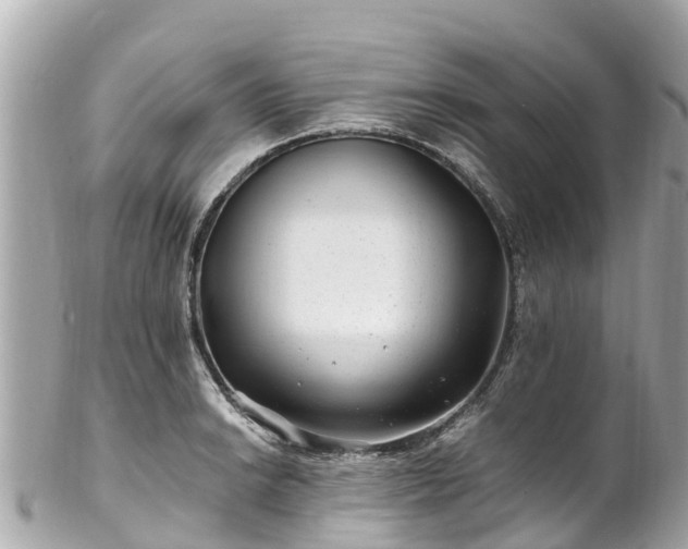 X0000102511038200808151541