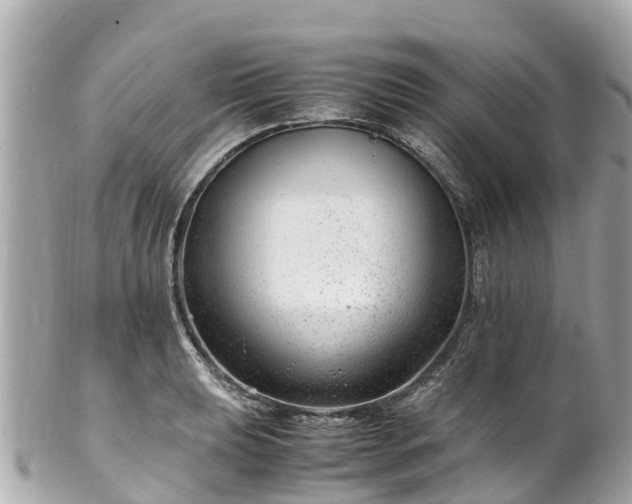 X0000102511039200808151541