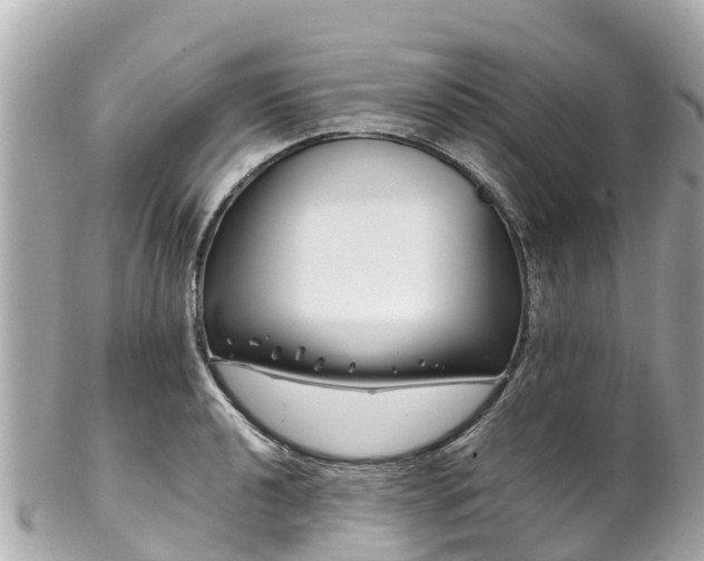 X0000102511040200808151541