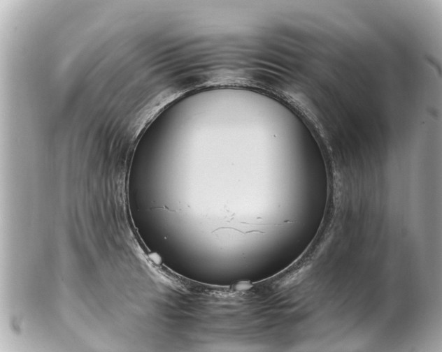 X0000102511041200808151541