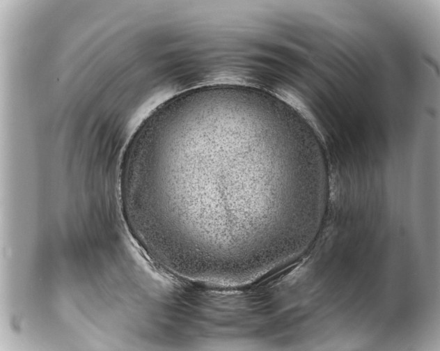 X0000102511043200808151541