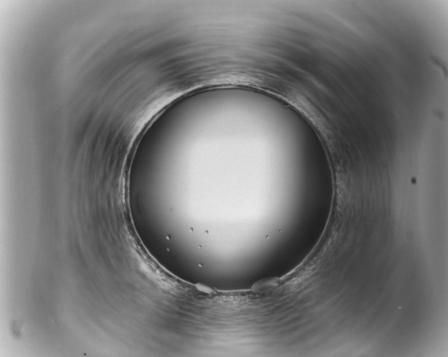 X0000102511044200808151541