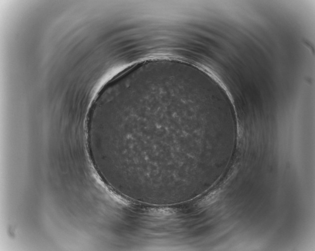 X0000102511045200808151541