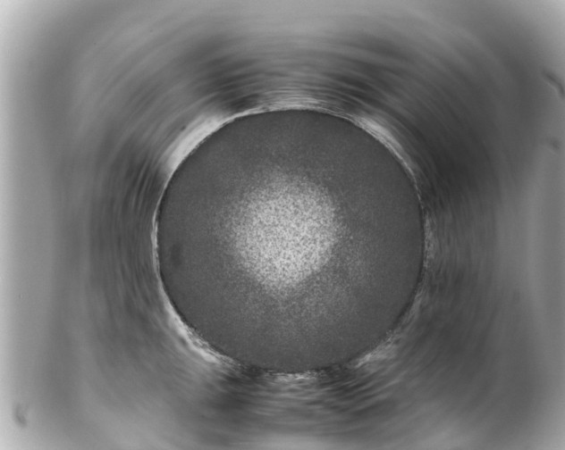 X0000102511047200808151541
