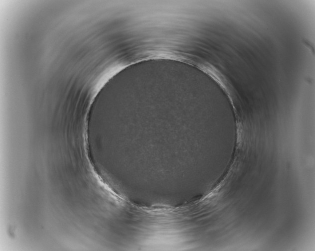X0000102511048200808151541