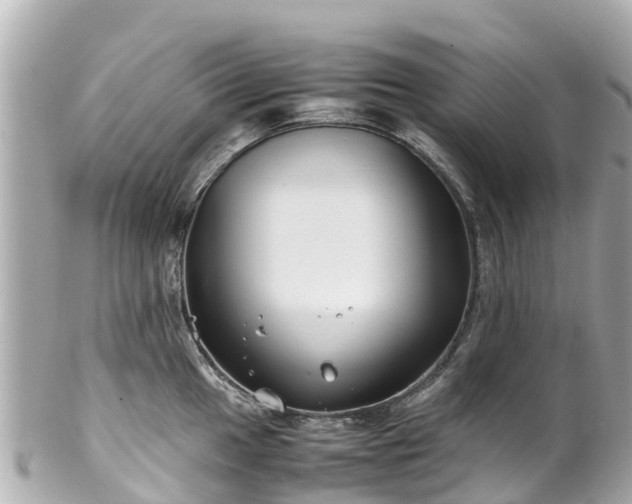 X0000102511049200808151541