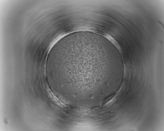 X0000102511052200808151541