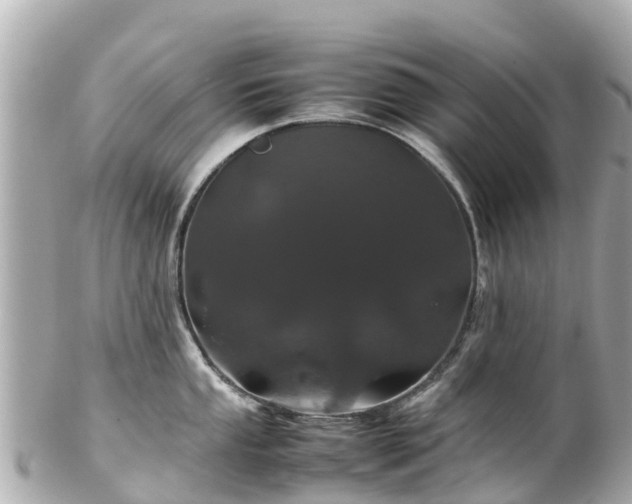 X0000102511053200808151541