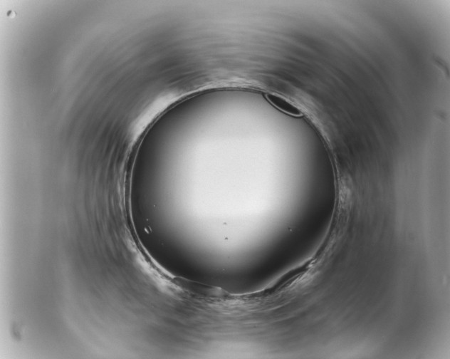 X0000102511054200808151541