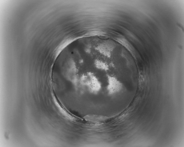 X0000102511055200808151541