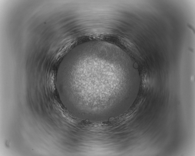 X0000102511060200808151541