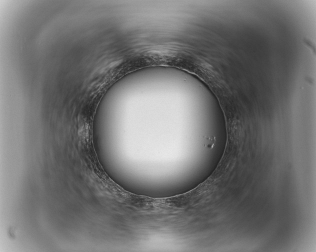 X0000102511061200808151541