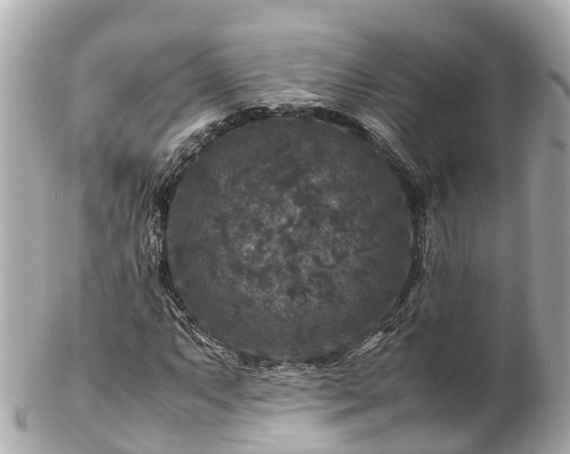X0000102511063200808151541