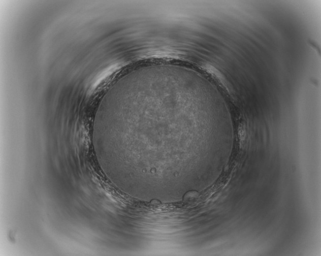 X0000102511064200808151541