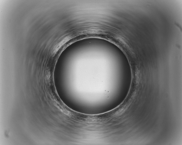 X0000102511065200808151541