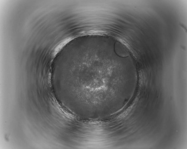 X0000102511066200808151541