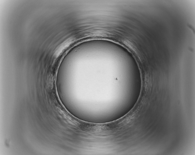 X0000102511067200808151541