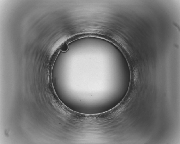 X0000102511069200808151540