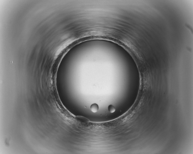 X0000102511070200808151540