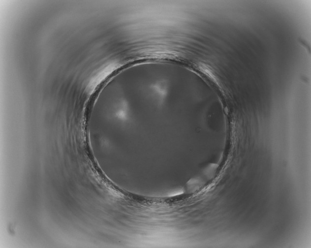 X0000102511071200808151540