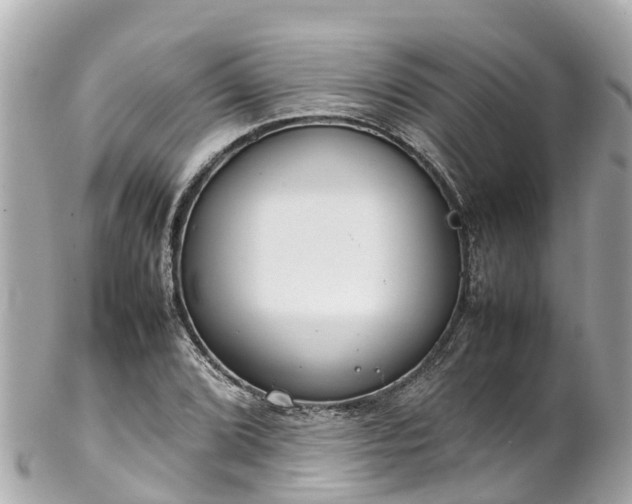 X0000102511072200808151540