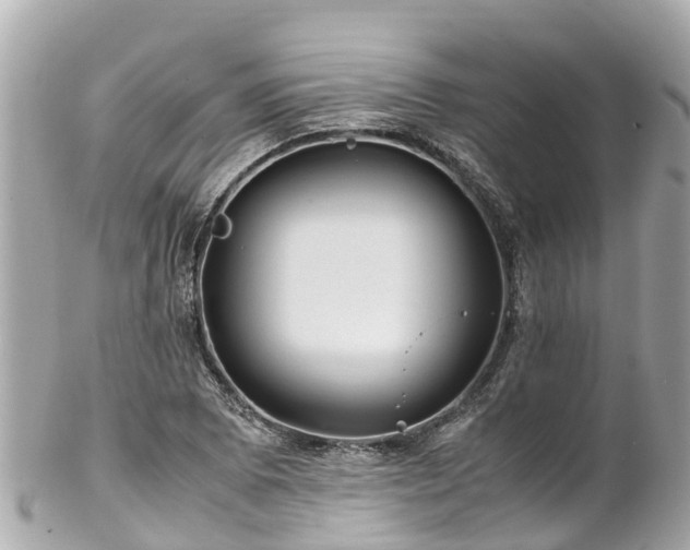 X0000102511073200808151540