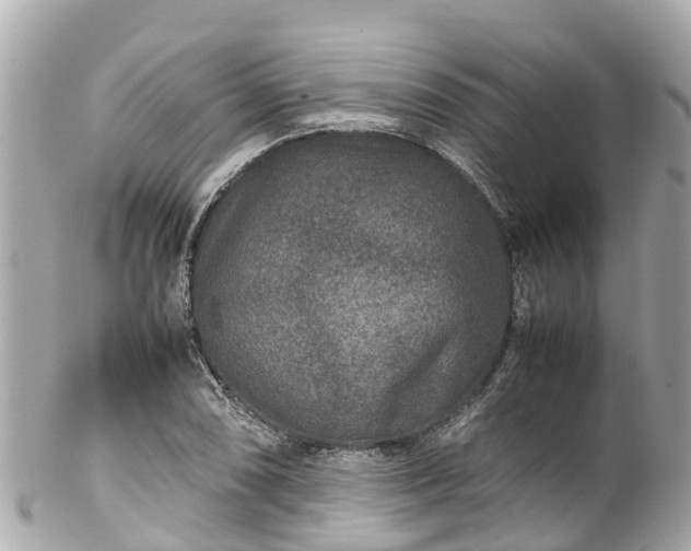 X0000102511074200808151540