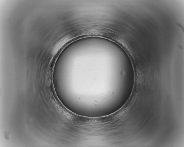 X0000102511075200808151540