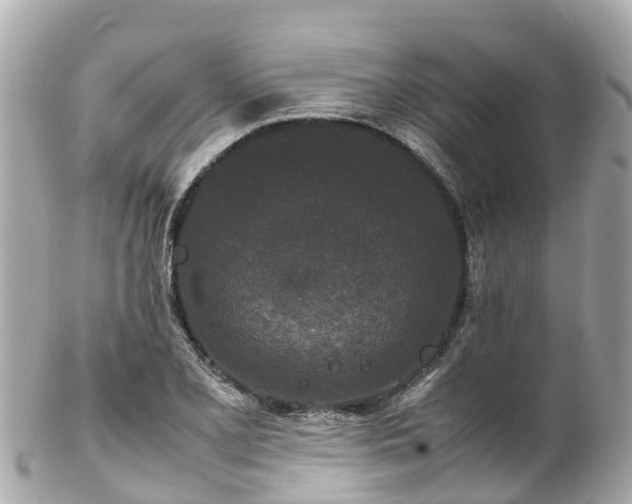 X0000102511077200808151540