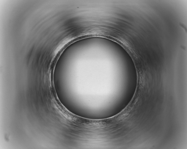 X0000102511078200808151540