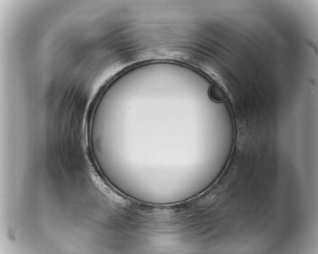 X0000102511080200808151540