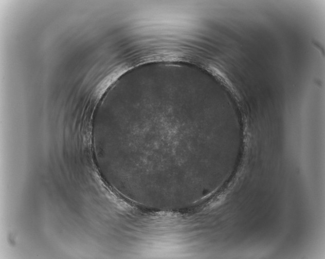X0000102511081200808151540