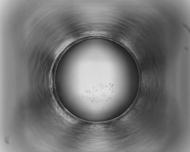 X0000102511082200808151540