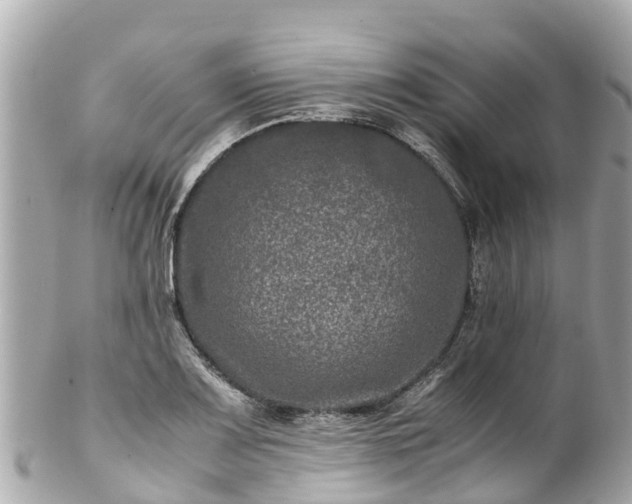 X0000102511083200808151540